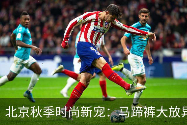 北京秋季时尚新宠：马蹄裤大放异彩！