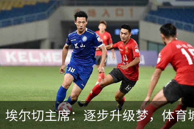埃尔切主席：逐步升级梦，体育城蓝图即将启航！