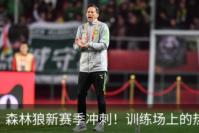 森林狼新赛季冲刺！训练场上的热血对决