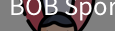 BOB体育
